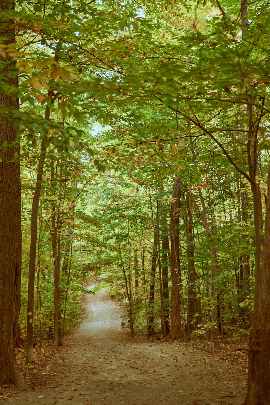 What Does Autumn Whisper to Your&nbsp;Soul?