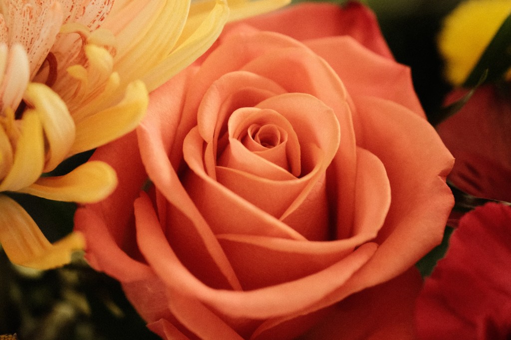 On the Influence of Art: A Philosophical Inquiry into Creativity, Constraint, and&nbsp;Inspiration