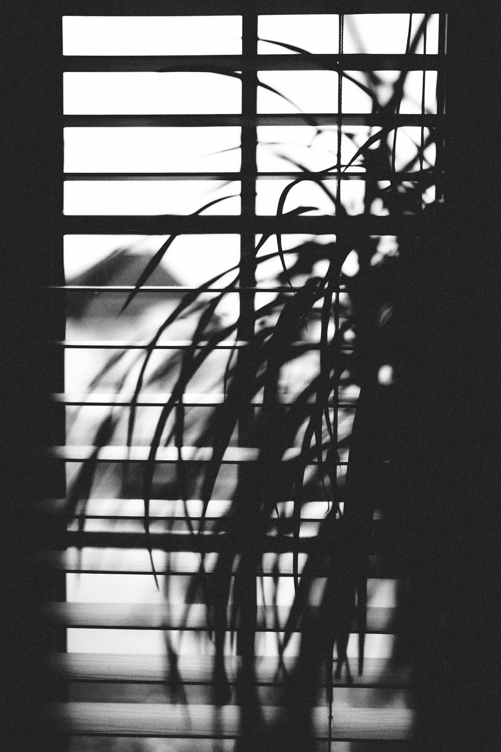 Memory of the Forgotten: A Poem on Loss and&nbsp;Longing