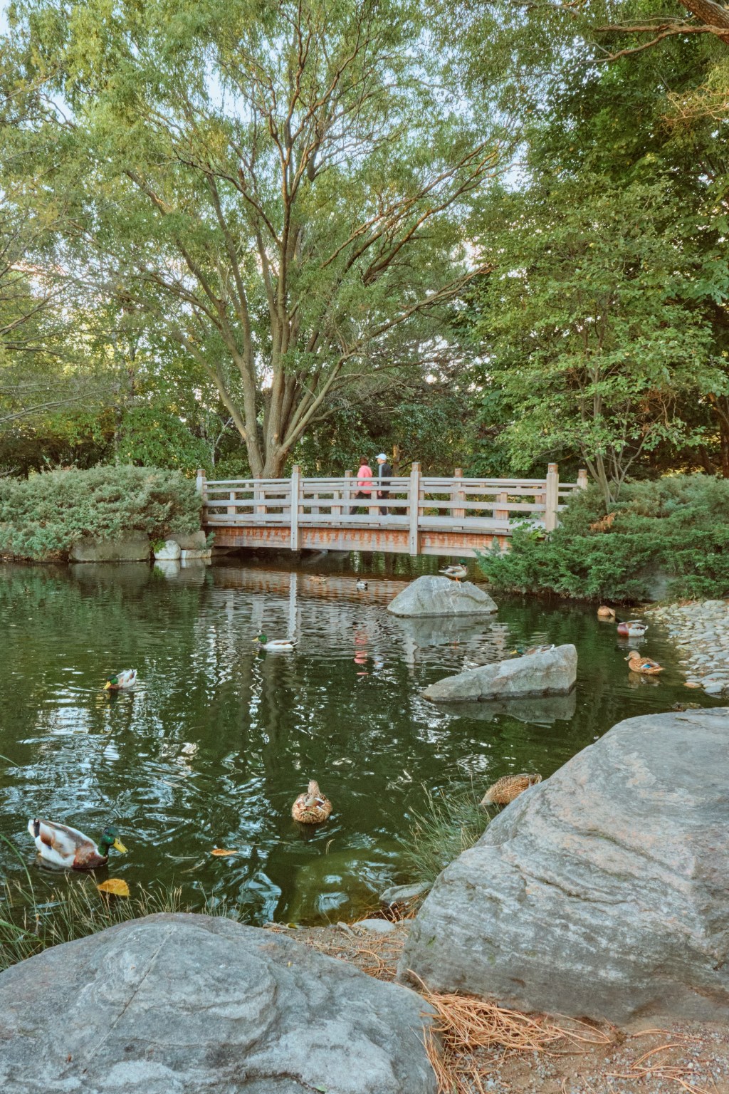 From Fall’s Glow to Winter’s Stillness: A Reflection at Kariya&nbsp;Park