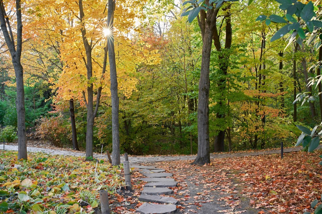 The Quiet Path Beneath the Autumn&nbsp;Sun