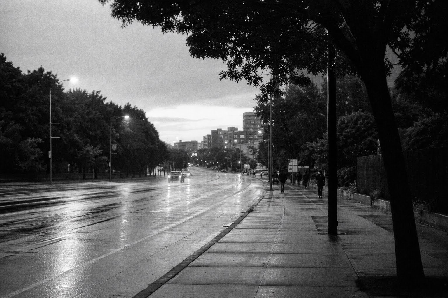 A wet city avenue seen from a public sidewalk beneath dark trees and an overcast sky