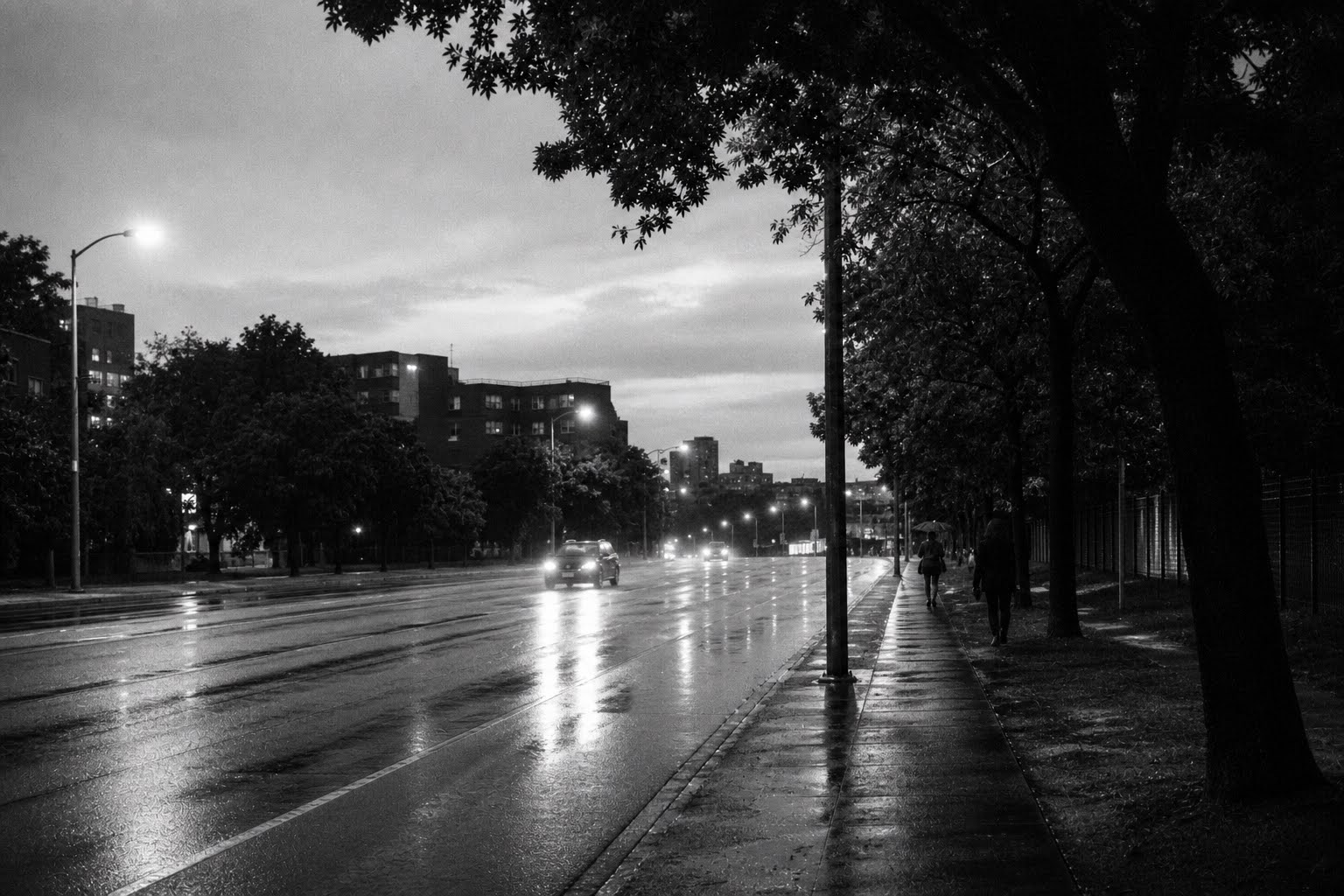 An avenue glistens after rain as distant cars and pedestrians move through the city beneath a canopy of dark trees. The image evokes the peculiar feeling of knowing a city’s roads while remaining uncertain of its deeper spirit.