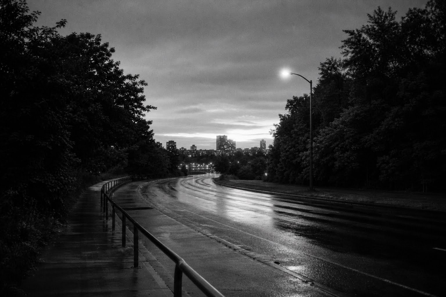 A quiet wet road curves through trees toward a distant city skyline